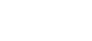 Naittir-Global Tech Solutions